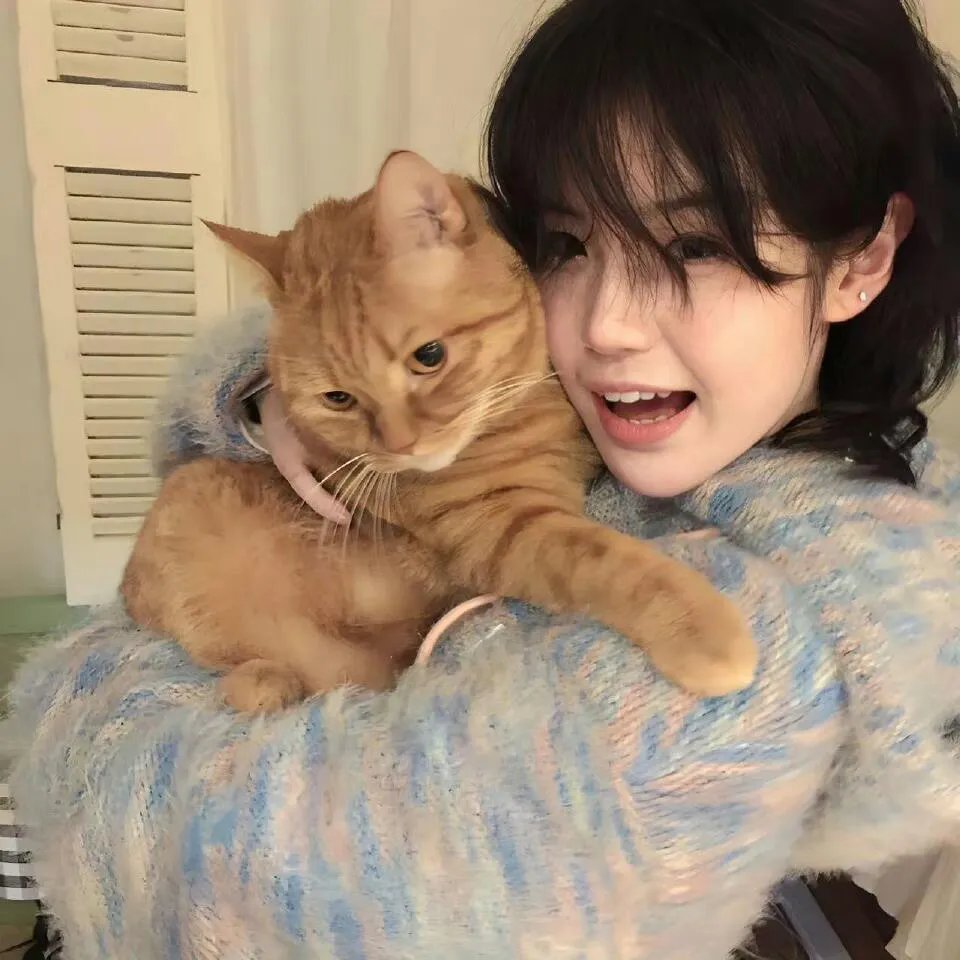 大人物拿破仑第一季